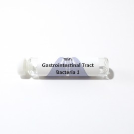 Gastrointestinal Tract Bacteria 1